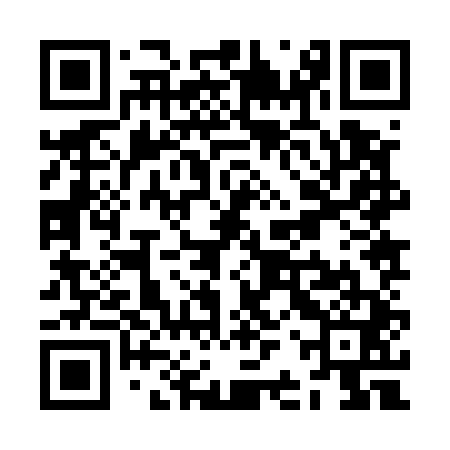 QR code for ZBZ541