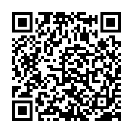 QR code for ZCC313