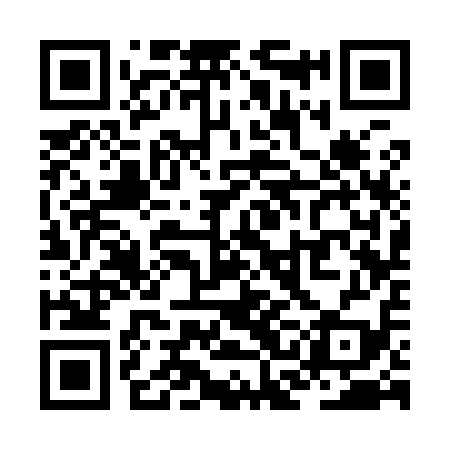 QR code for ZCC919