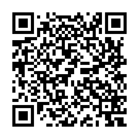 QR code for ZCC969
