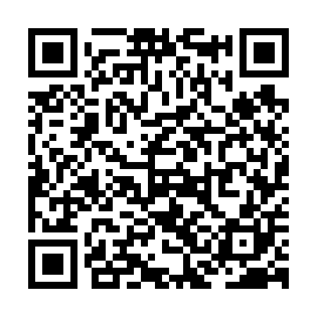 QR code for ZCG600