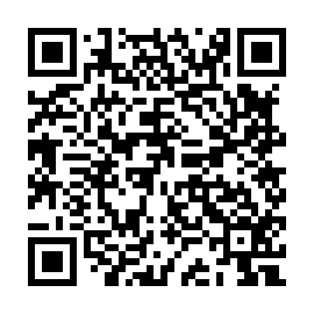 QR code for ZCG816