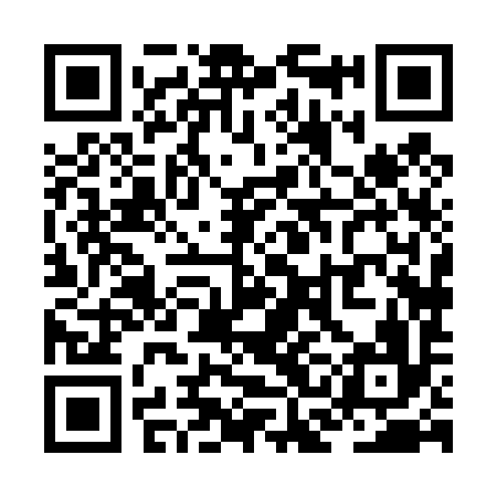 QR code for ZCH496