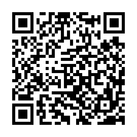 QR code for ZCH616