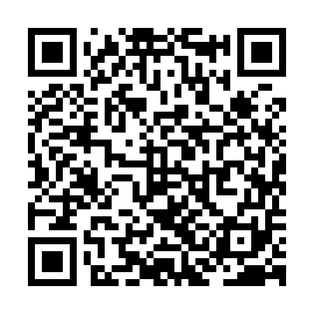 QR code for ZCI951