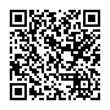 QR code for ZCJ385