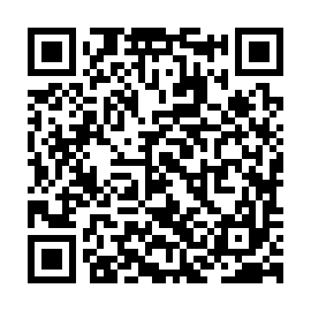 QR code for ZCJ397