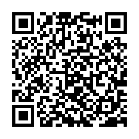 QR code for ZCL295