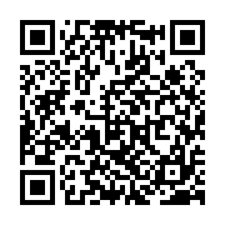 QR code for ZCM117