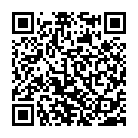 QR code for ZCM819
