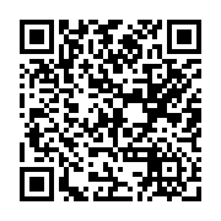 QR code for ZCM956
