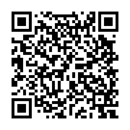QR code for ZCO096