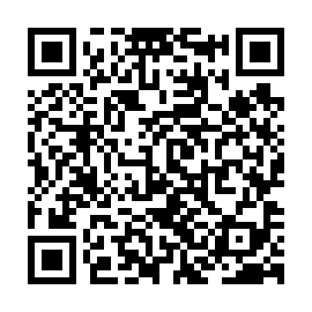 QR code for ZCO699