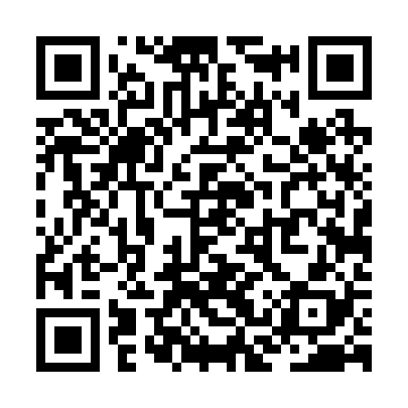 QR code for ZCT228