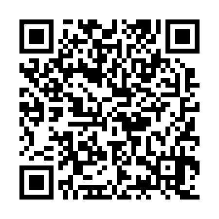 QR code for ZCT234