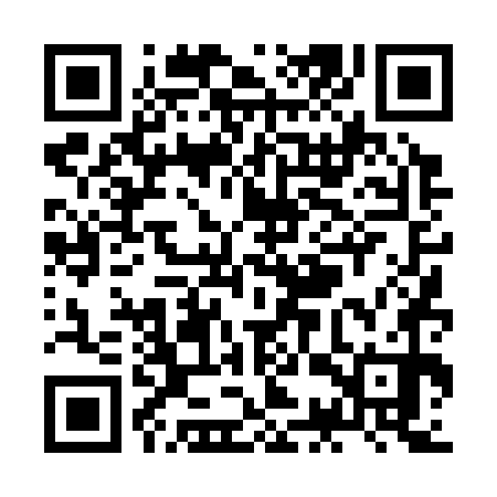 QR code for ZCT370