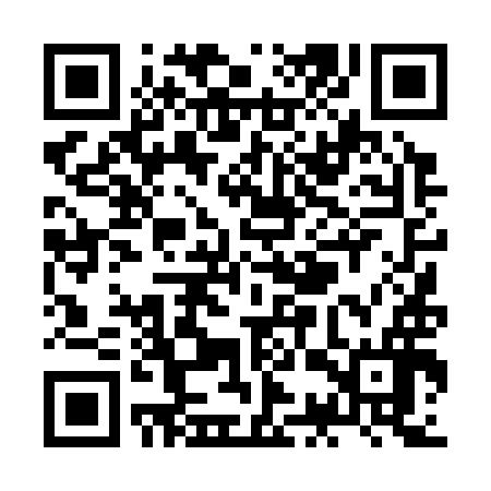 QR code for ZCT396