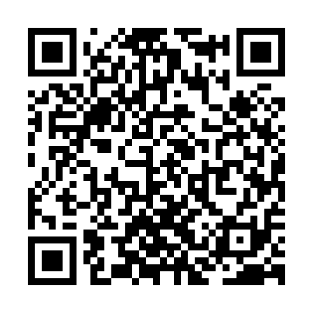 QR code for ZCU811