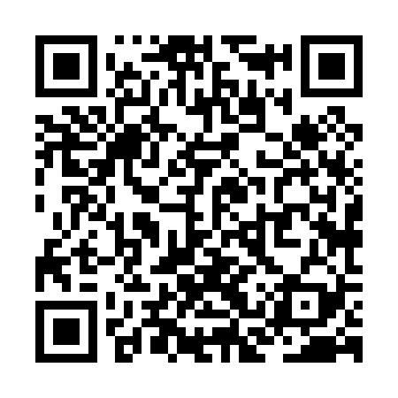 QR code for ZCX029