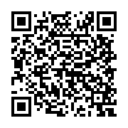 QR code for ZCX541
