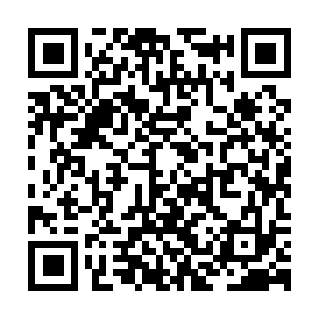 QR code for ZCY133