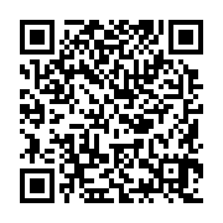 QR code for ZCY385