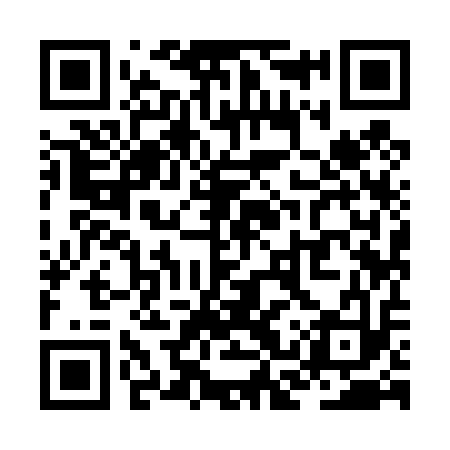 QR code for ZCY413