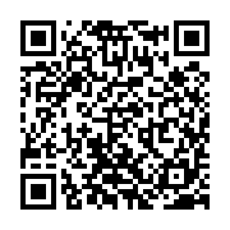QR code for ZCY595