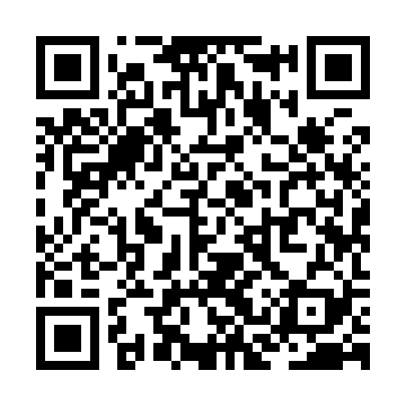 QR code for ZCY929