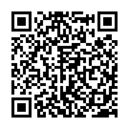 QR code for ZDB511