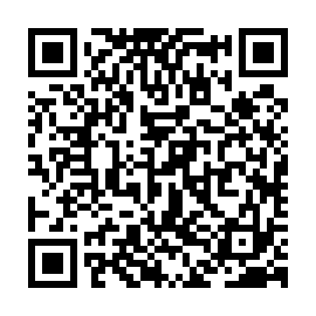 QR code for ZDB533