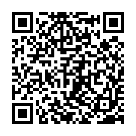 QR code for ZDC593