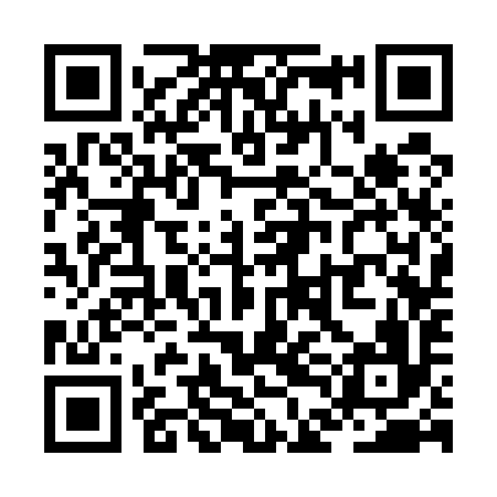 QR code for ZDC596
