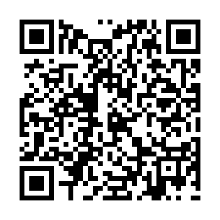 QR code for ZDD317