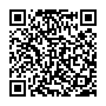 QR code for ZDD599