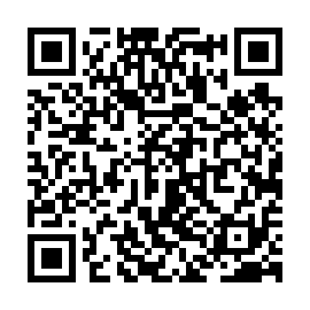 QR code for ZDD611