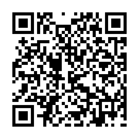 QR code for ZDE950