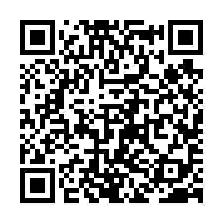 QR code for ZDF699