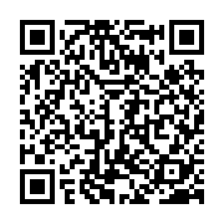 QR code for ZDG228