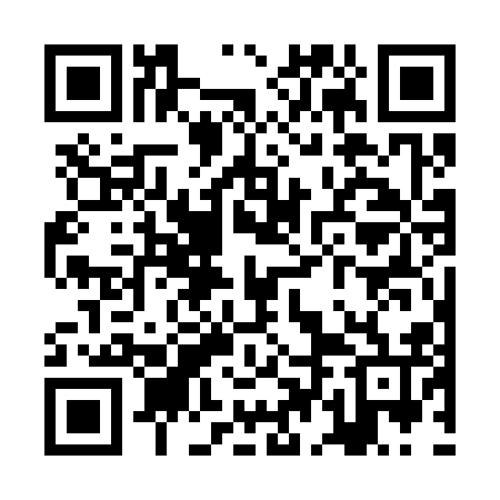 QR code for ZDG316