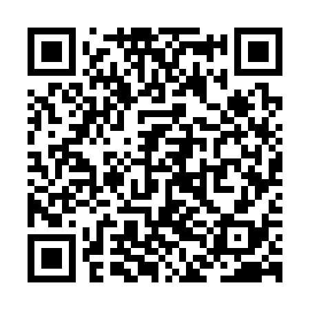 QR code for ZDG338