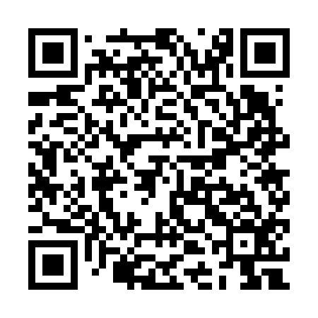 QR code for ZDG616