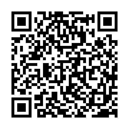QR code for ZDH313
