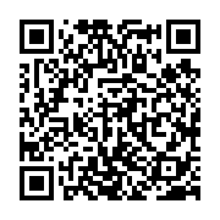 QR code for ZDH638