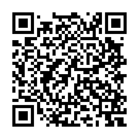 QR code for ZDI041