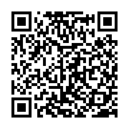 QR code for ZDI209