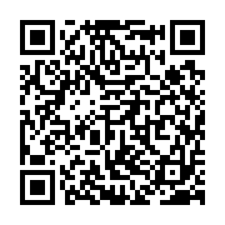 QR code for ZDI713