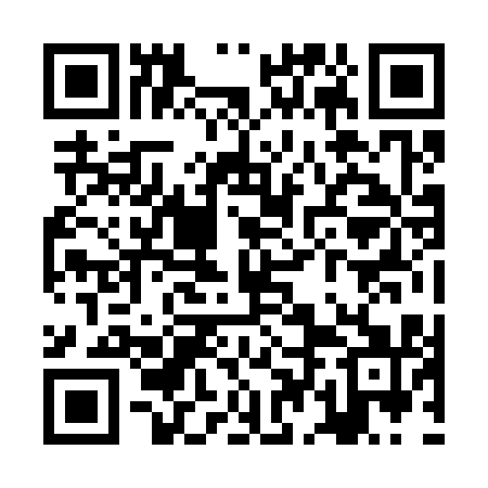 QR code for ZDJ311