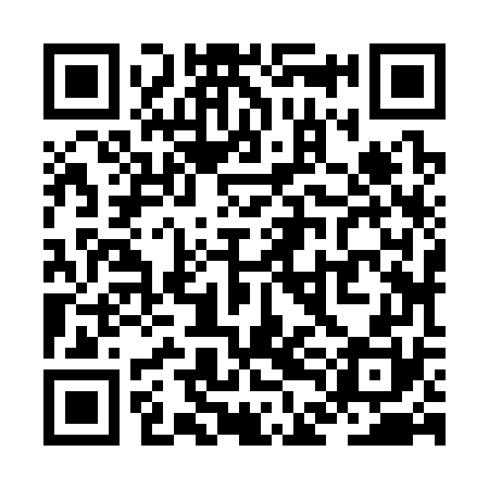 QR code for ZDJ370