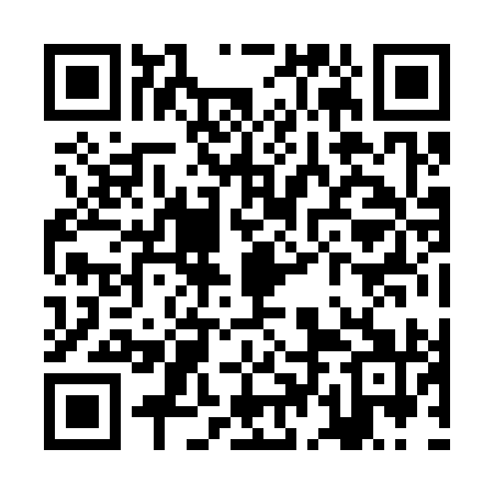 QR code for ZDJ391